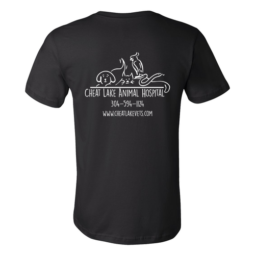 Bella Canvas Unisex Jersey T-Shirt -- Black