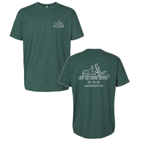 Next Level Mens CVC Crew -- Heather Forest Green