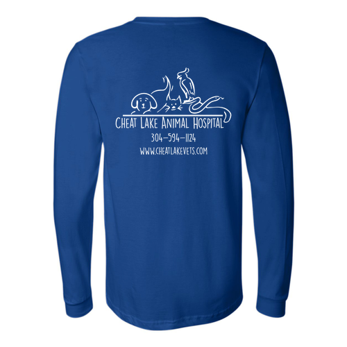 Bella Canvas Unisex Jersey Longsleeve Tee -- True Royal
