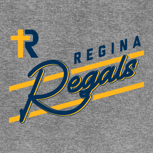 Regina Rise Above District Made Unisex Perfect Blend Tee -- Grey Frost