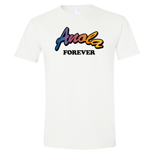 Gildan SoftStyle T-Shirt -- White