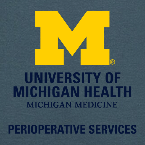 Perioperative Services Mens/Unisex Bella Canvas Sponge Fleece Hoodie -- Steel Blue
