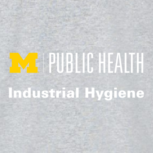 Ladies Gildan Softstyle Pique Polo -- Sport Grey