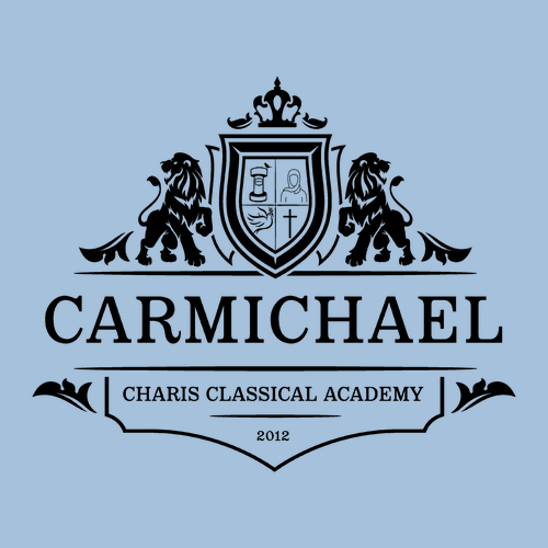 Carmichael Jerzees 50/50 Nublend Fleece Hoodie -- Light Blue