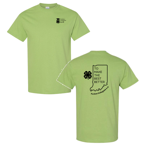 Gildan Heavy Cotton Basic T-Shirt -- Kiwi
