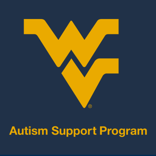 Gildan Heavy Cotton Longsleeve Basic T-Shirt -- Navy