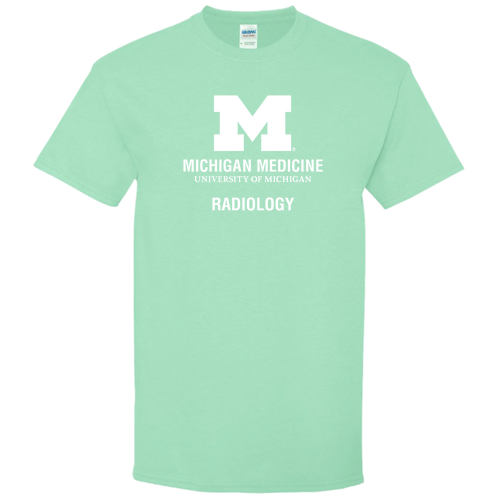 Mens/Unisex Gildan Heavy Cotton Basic T-Shirt -- Mint Green