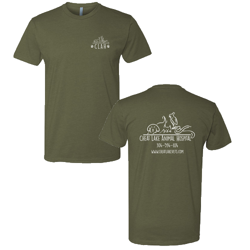 Next Level Mens CVC Crew -- Military Green
