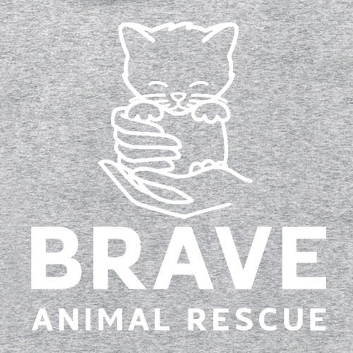 Brave Hoodie -- Athletic Heather