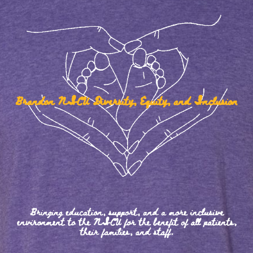 Gildan SoftStyle Fitted T-Shirt -- Heather Purple