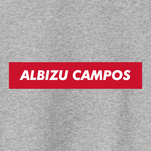 Pullover Hooded Sweatshirt -- Athletic Heather