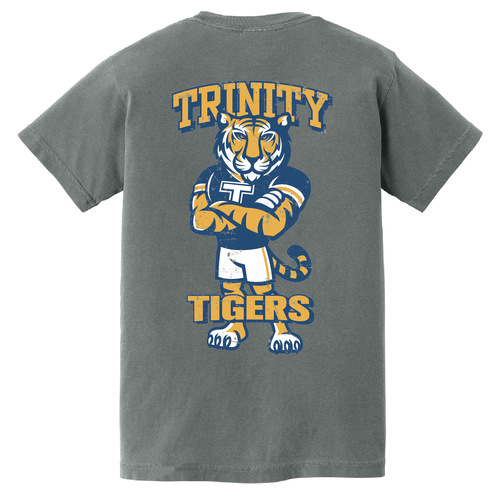 Youth Comfort Colors Ring Spun Cotton Tee -- Grey