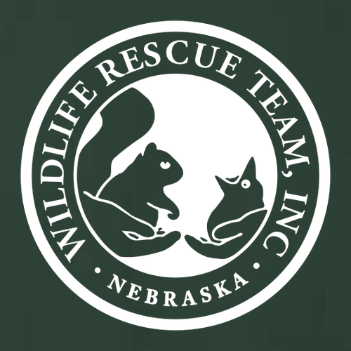 J America Unisex BTB Fleece Hooded Sweatshirt -- Forest Green