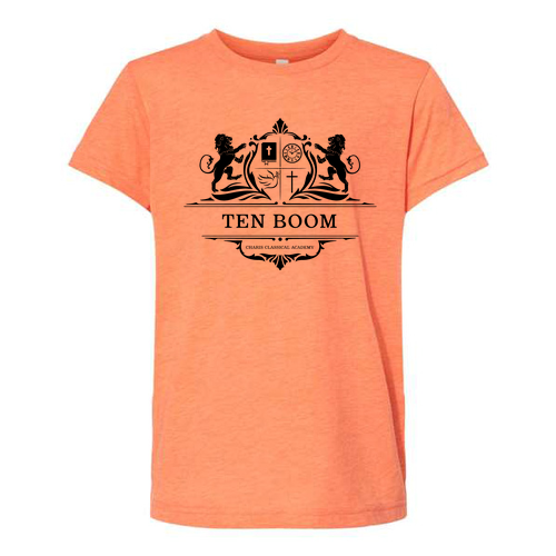 Bella Canvas Youth Triblend Jersey Short Sleeve Tee -- Orange Triblend