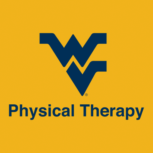 Gildan Ultra Cotton Longsleeve Basic T-Shirt -- Gold