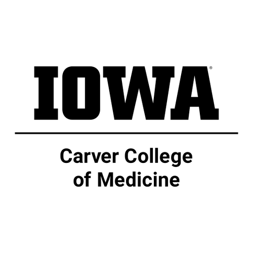 Comfort Colors Garment Dyed Hooded Pullover Sweatshirt -- White