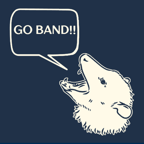 Gildan SoftStyle T-Shirt -- Navy