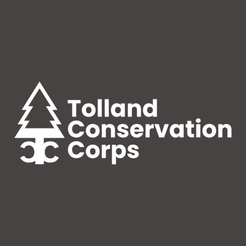 Knit Hat with Cuff -- Dark Grey