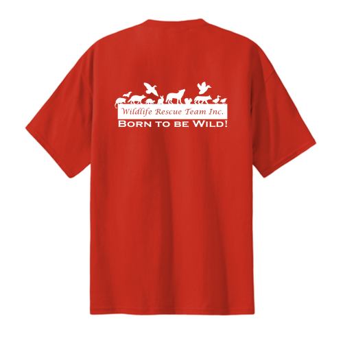 Port and Company Tall Cotton Tee -- Fiery Red