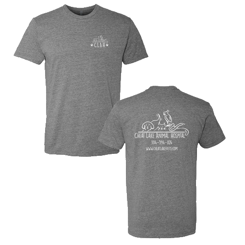 Next Level Mens CVC Crew -- Dark Heather Grey