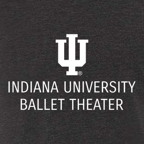 IUBT- Embroidered Fleece Jacket -- Black Heather