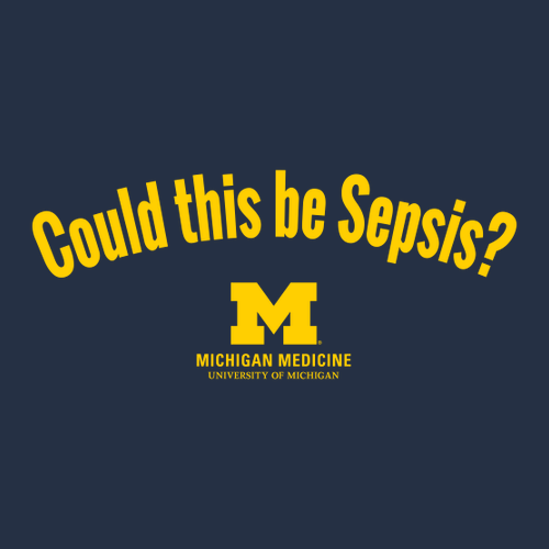 Gildan Softstyle Fitted Longsleeve T Shirt -- Navy, Could This Be Sepsis