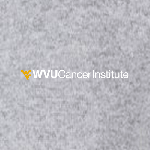 Charles River Mens Heathered Fleece Pullover -- Light Grey Heather