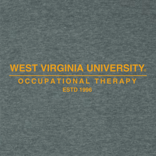 Gildan Adult Softstyle Fleece Crew Sweatshirt -- Dark Heather