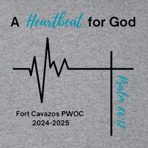 Gildan SoftStyle Fitted T-Shirt -- Graphite Heather