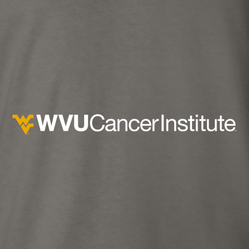 Gildan SoftStyle T-Shirt -- Charcoal