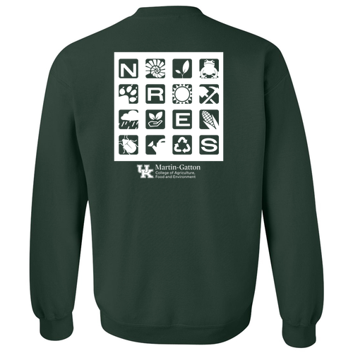 Gildan Heavy Blend Crew Neck Sweatshirt -- Forest Green
