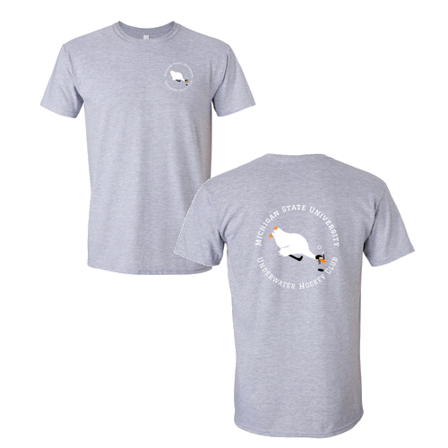 Gildan SoftStyle T-Shirt -- Sport Grey