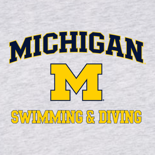 Ladies District Women's Very Important Tee Long Sleeve V-Neck -- Light Heather Grey