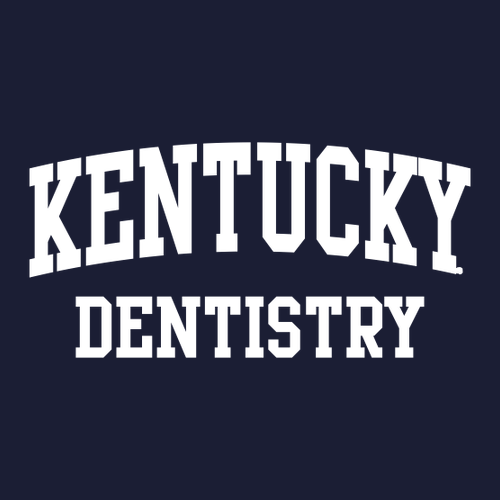 Comfort Colors Garment Dyed Hooded Pullover Sweatshirt -- True Navy