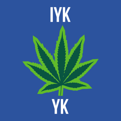 IYKYK Embroidered Zip Hoodie -- Blue