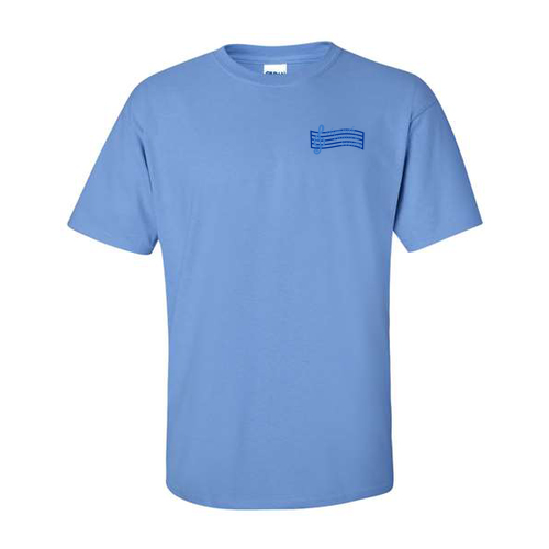 Mens/Unisex Gildan Ultra Cotton Basic T-Shirt -- Carolina Blue