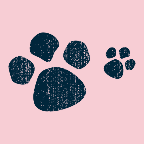 Gildan Heavy Cotton Basic T-Shirt -- Light Pink