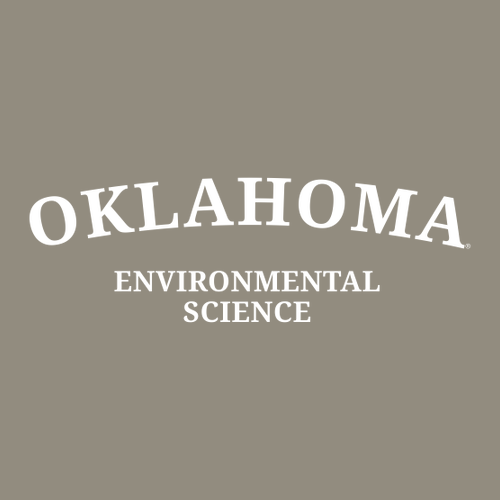 Environmental Comfort Colors Ringspun Garment Dyed T Shirt -- Sandstone