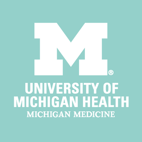 Ladies Next Level Ideal V-Neck Tee -- Mint