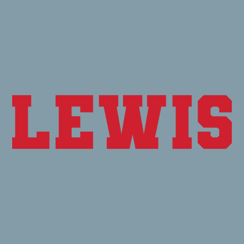 Women's Heavyweight Tee -- Vintage Denim LEWIS