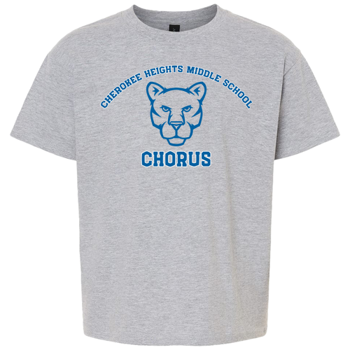 Gildan Youth Softstyle T-Shirt -- Sport Grey