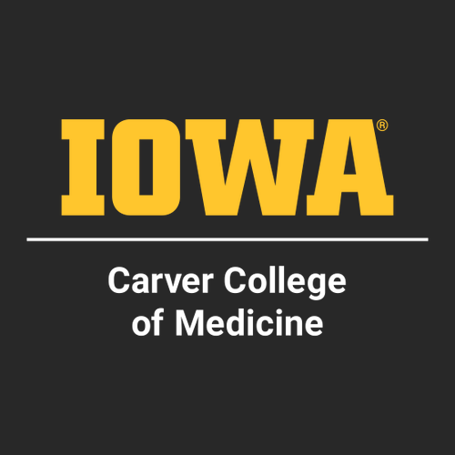 Independent Trading Co. Avenue Pullover Hooded Sweatshirt -- Black