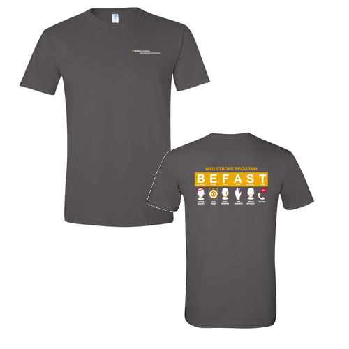 Gildan SoftStyle T-Shirt -- Charcoal