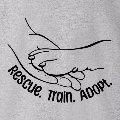 Hanes Perfect-T Ring Spun T-Shirt -- Light Steel