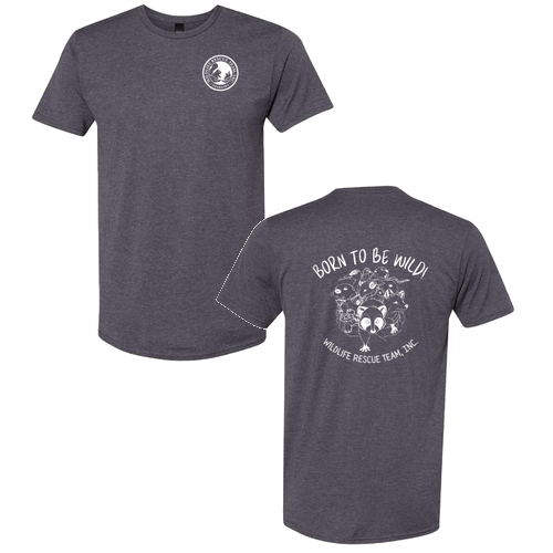 Hanes Perfect-T Ring Spun T-Shirt -- Charcoal Heather