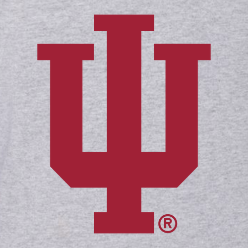 Hanes Essential ComfortSoft Short Sleeve Tee -- Oxford Grey