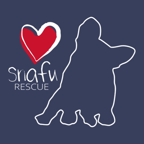 District Women's Perfect Weight Fleece Cropped Crew -- Tanzanite