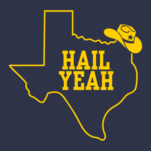 Ladies Next Level Soft Fitted Ideal V-Neck Tee -- Midnight Navy