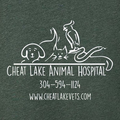 Bella+Canvas Unisex Heather Cvc Long Sleeve Tee- Heathers -- Heather Forest