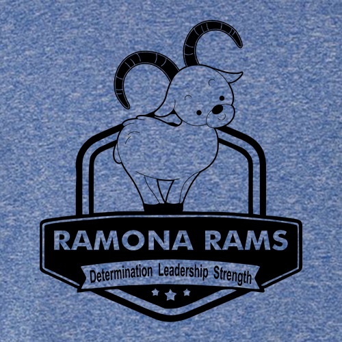 Gildan Youth Softstyle T-Shirt -- Heather Royal